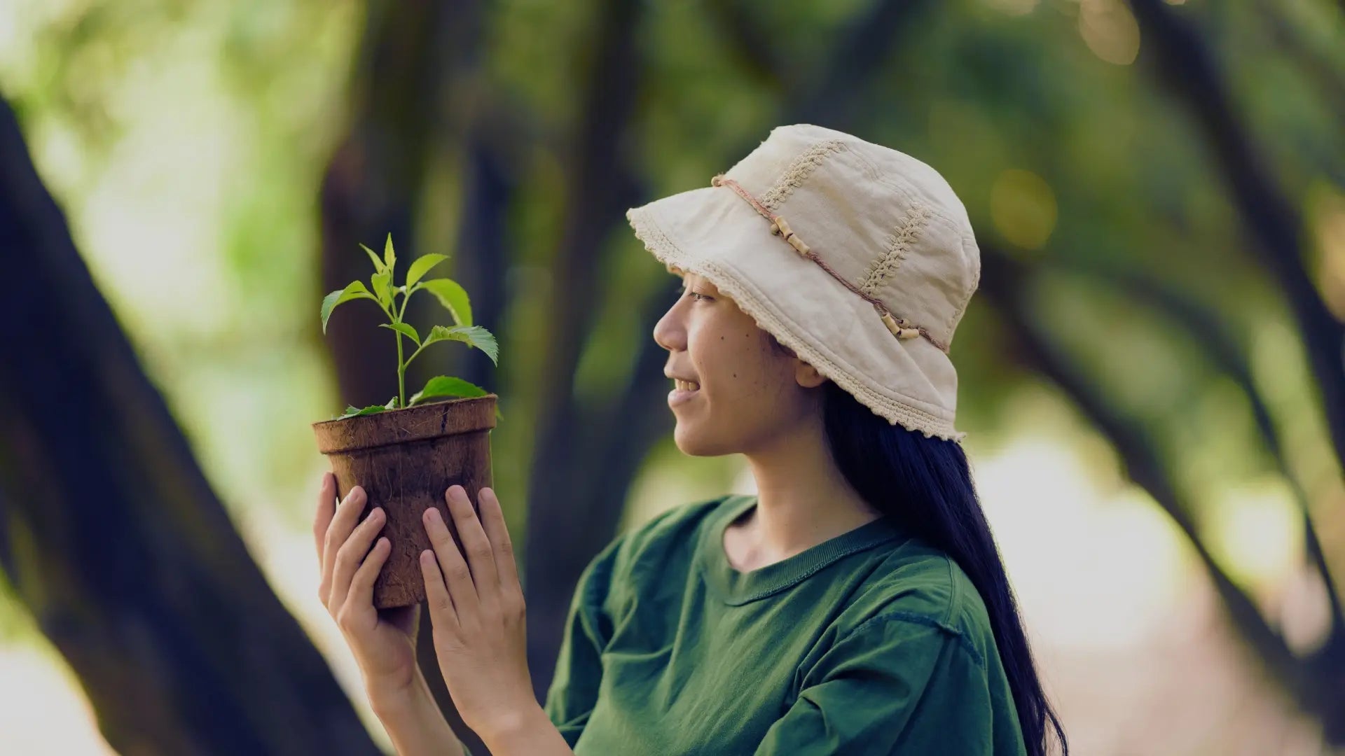 Femme tenant un jeune plant de Lycium barbarum, illustrant la vitalité exceptionnelle des baies de goji vivantes de Mongolie capables de pousser une fois plantées. Image