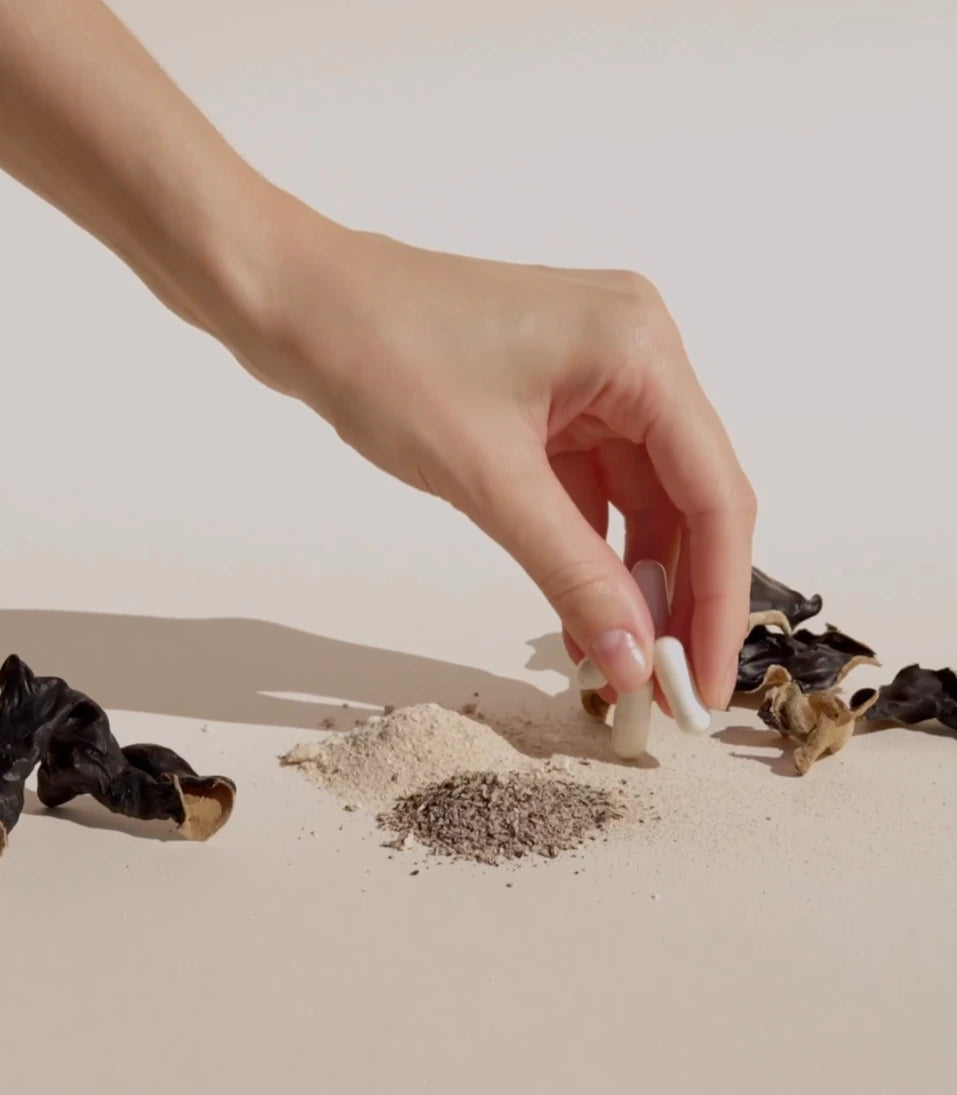 Une main délicate saisissant des gélules à côté de plantes séchées et de poudres naturelles, symbolisant le pont entre l'héritage ancestral de la phytothérapie et la sécurité moderne. Image