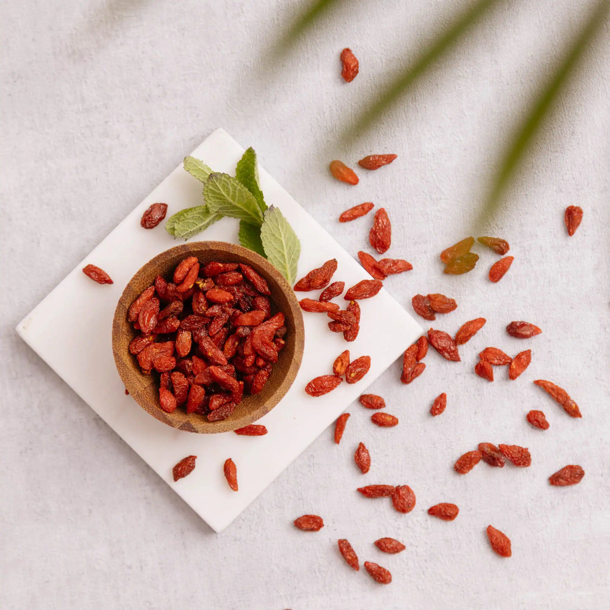 Baies de Goji vivants - Source d'énergie Naturelle des Hauts Plateaux de Mongolie