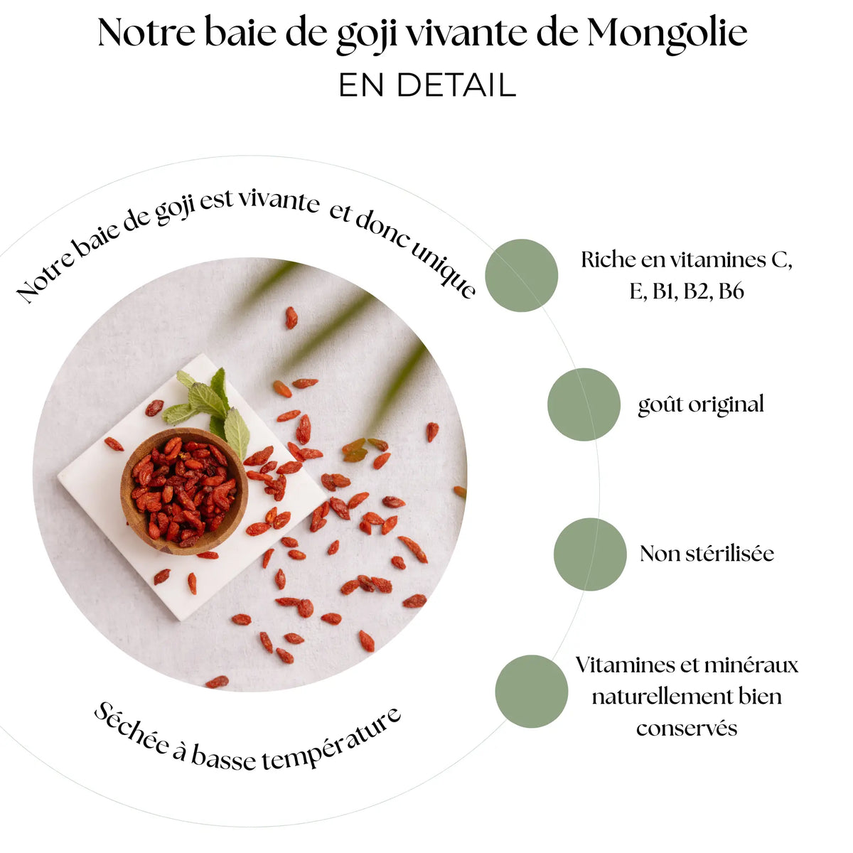 Baies de Goji vivantes - Source d'énergie Naturelle des Hauts Plateaux de Mongolie