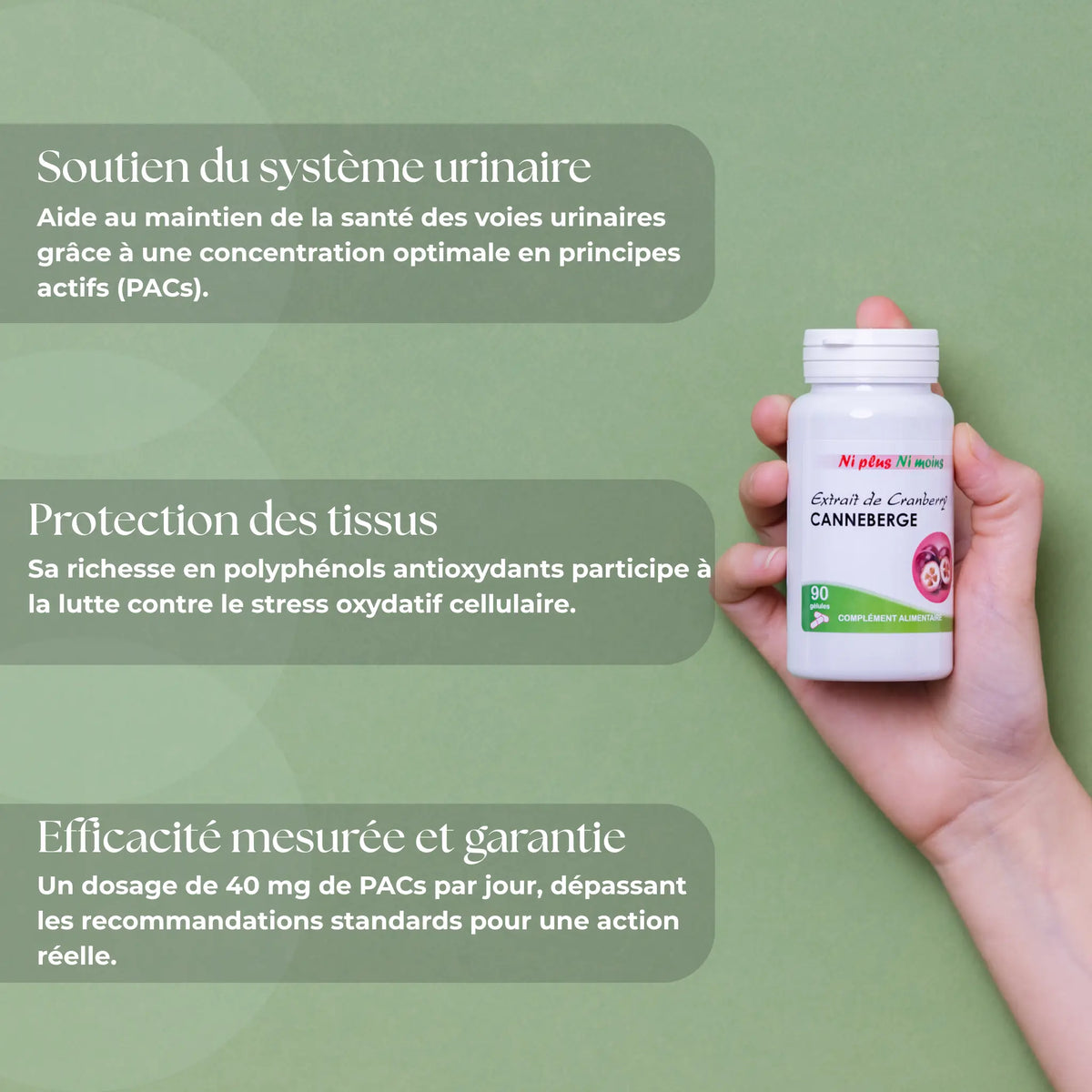 Canneberge - Extrait de Cranberry