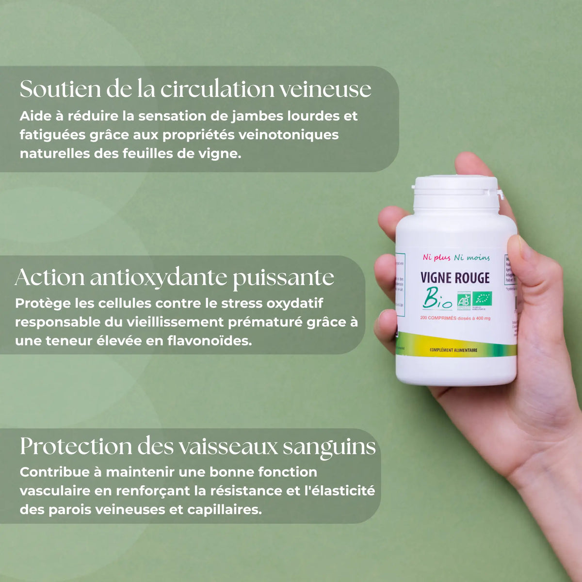 Les 3 bienfaits de la Vigne Rouge Bio : soutien circulation veineuse, action antioxydante et protection des vaisseaux